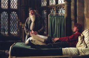  dumbledore and ron
