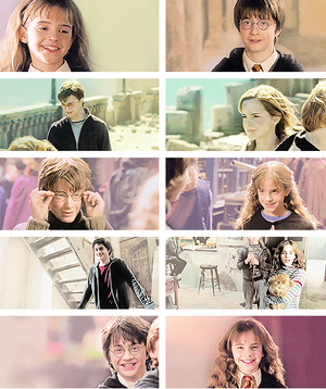  harry hermione friendship
