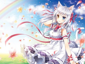  24888 anime girls catgirl anime catgrils