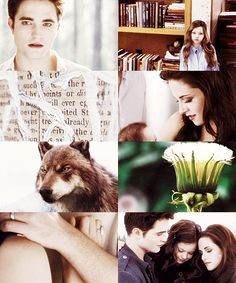  BD 2 collage