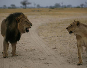  Cecil and mate