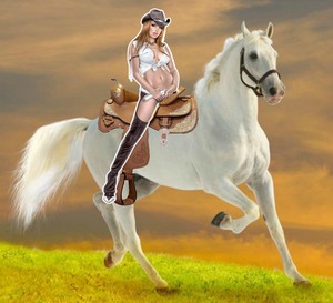  Cowgirl riding her beautiful white horse