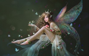 Fairy  