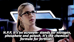  Felicity's Intelligence