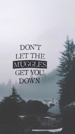  Harry Potter Quote