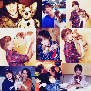  Justin Bieber sammy collage