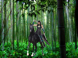  Kunoichi riding through the bamboo forest on her beautiful black horse
