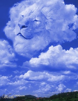  Lion nube