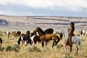  Native American Woman riding her grayish white horse while watching over a herd of wild mustangs