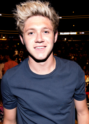  Niall at UFC match in Chicago