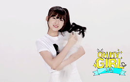 Oh My Girl members with 狗