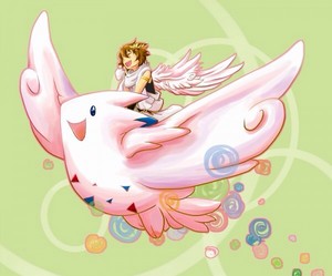  Pit riding a Togekiss