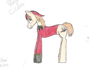 Pony Cicero