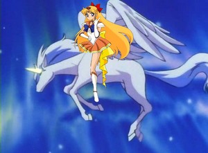  Princess Sailor Venus riding Pegasus