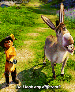 Puss in Boots and Donkey