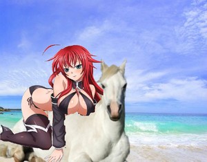 Rias Gremory found and tamed a beautiful wild white horse on the beach