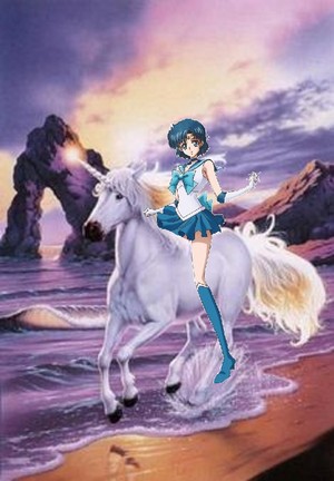  Sailor Mercury riding her Beautiful Unicorn