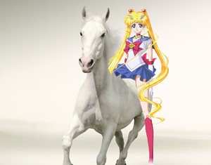  Sailor Moon riding on her Beautiful White kuda, steed