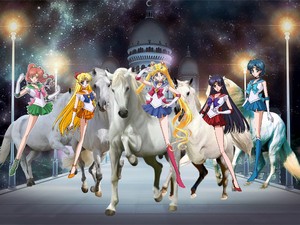  Sailor Senshi riding on their Beautiful White Steeds