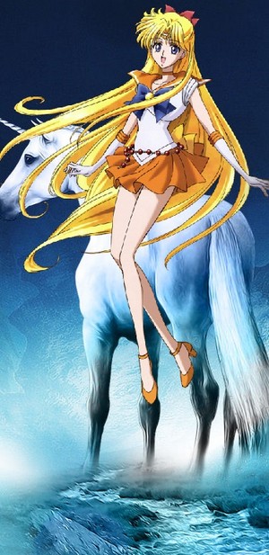  Sailor Venus on her Beautiful Unicorn