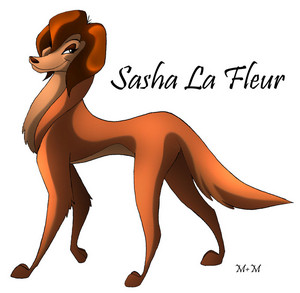 Sasha La Fleur