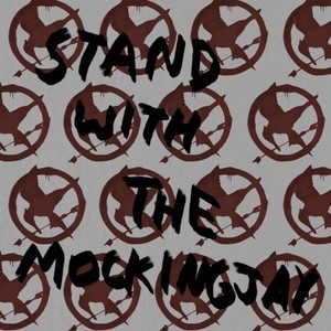  Stand with the Mockingjay