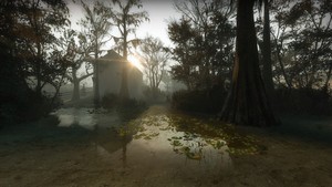  Swamp Fever - The Plantation