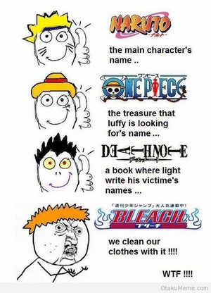  The problem with Bleach