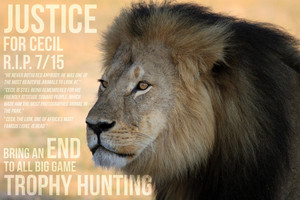 justice for cecil 