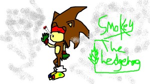  smokey the heddgehog