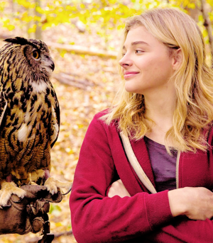  “She is not the first to dream of owls in the dark.”