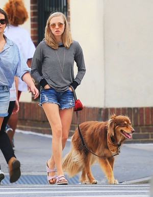  150827 Amanda Seyfried and Her Dog Finn Out in New York