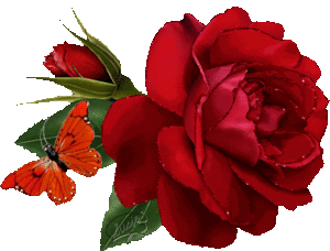  A Rose for te