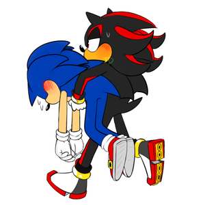  Carrying Sonic