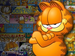 Garfield Sunday comics