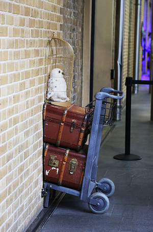  Harry Potter in Лондон