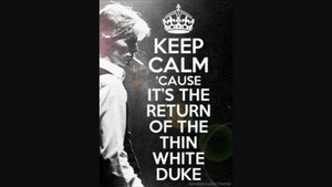  Keep calm thin white duke