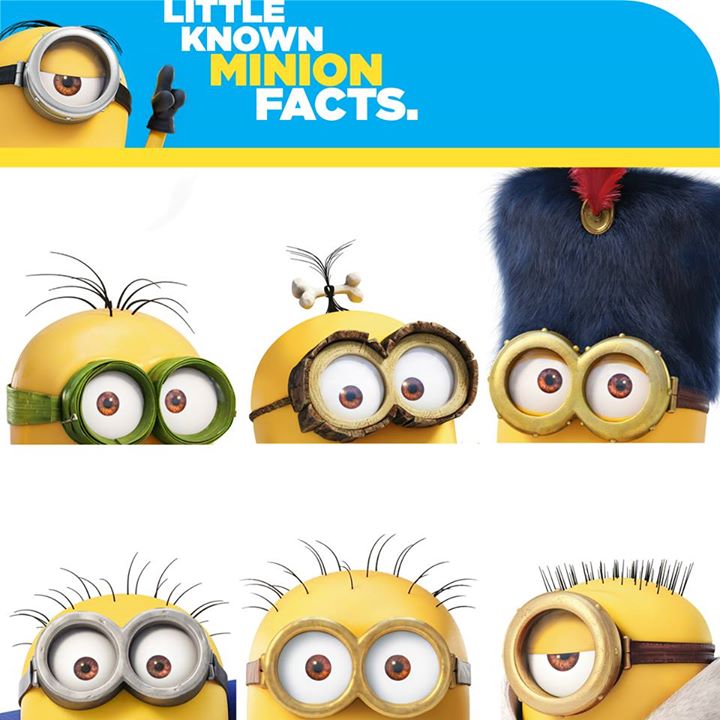 Little Known Minion Facts