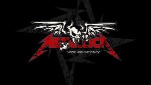  Metallica Skull Logo imej