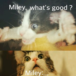  Miley, whats good?