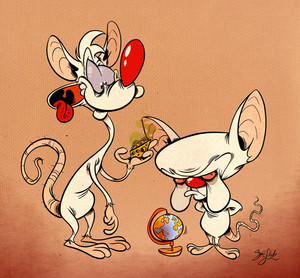  Pinky and the Brain