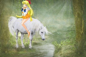  Sailor Venus rides on her Beautiful Unicorn