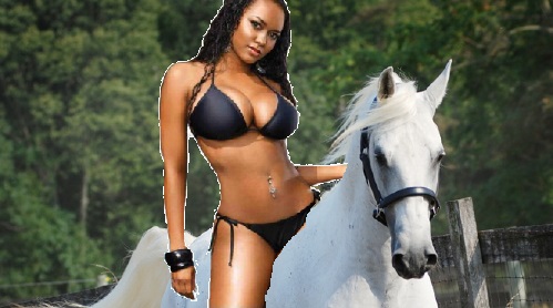 http://images6.fanpop.com/image/photos/38800000/Sexy-Black-Woman-riding-on-her-Beautiful-Lipizzaner-Stallion-girls-and-horses-38841672-499-278.jpg