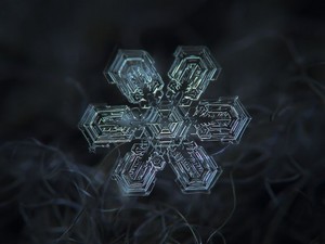  snow crystal