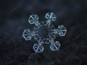  snow crystal