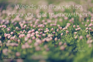  weeds are flowers too
