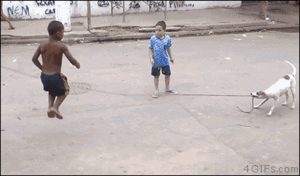  Dog Helping With Jump Rope