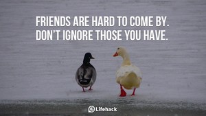  Friends are hard to come by. Don't ignore those anda have