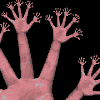  Hands