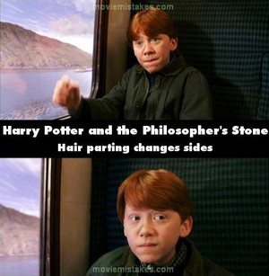  Harry Potter Faults